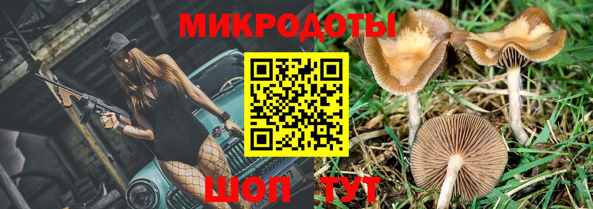 Галлюциногенные грибы Magic Shrooms Чита