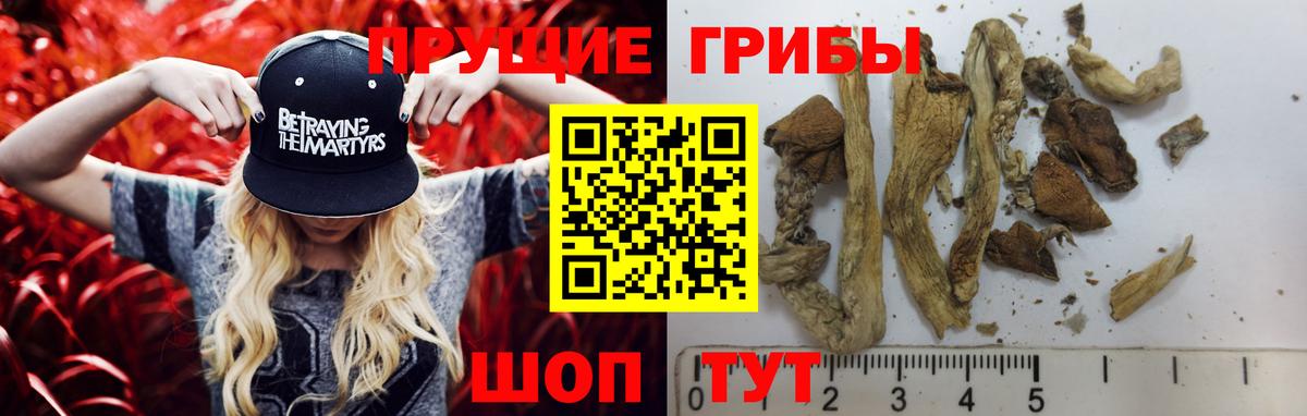 даркнет сайт  Вход с VPN  Чита  Галлюциногенные грибы мицелий 