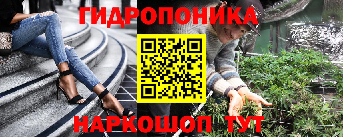 Чита  Бошки марихуана план  Каннабис план  Бошки Шишки сатива  Вход с VPN 